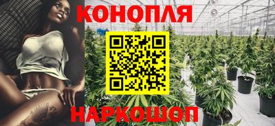 дмт Можга