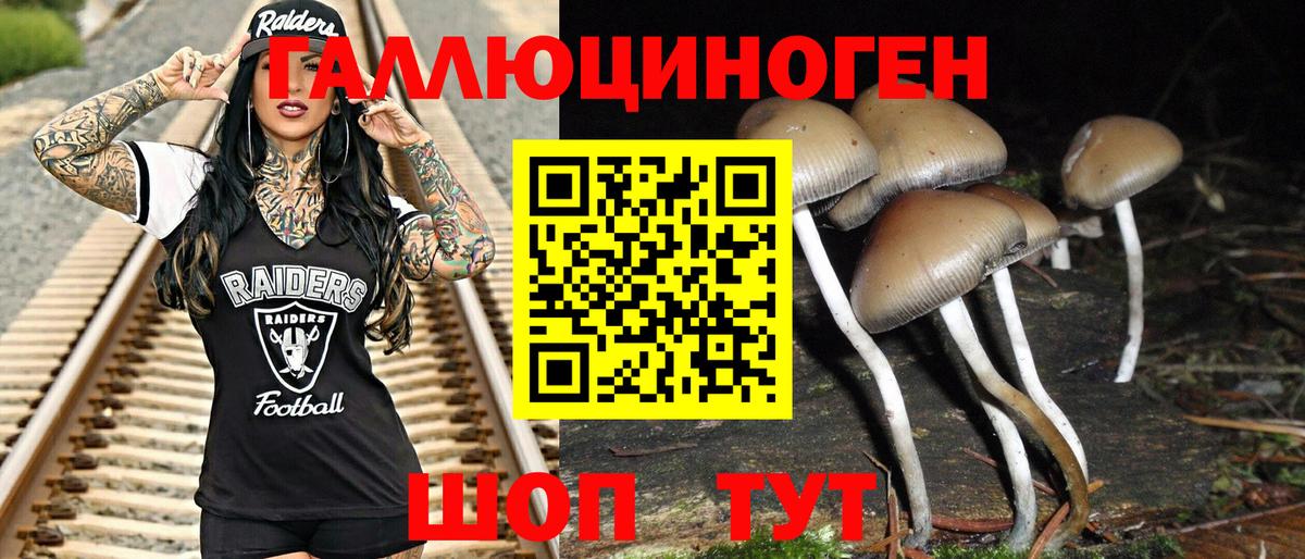 Псилоцибиновые грибы MAGIC MUSHROOMS  Псилоцибиновые грибы мухоморы  Вход с VPN  Таганрог 
