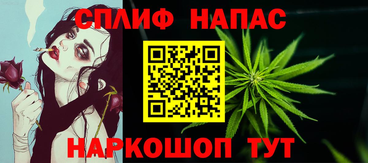 Бошки Шишки планчик Таганрог